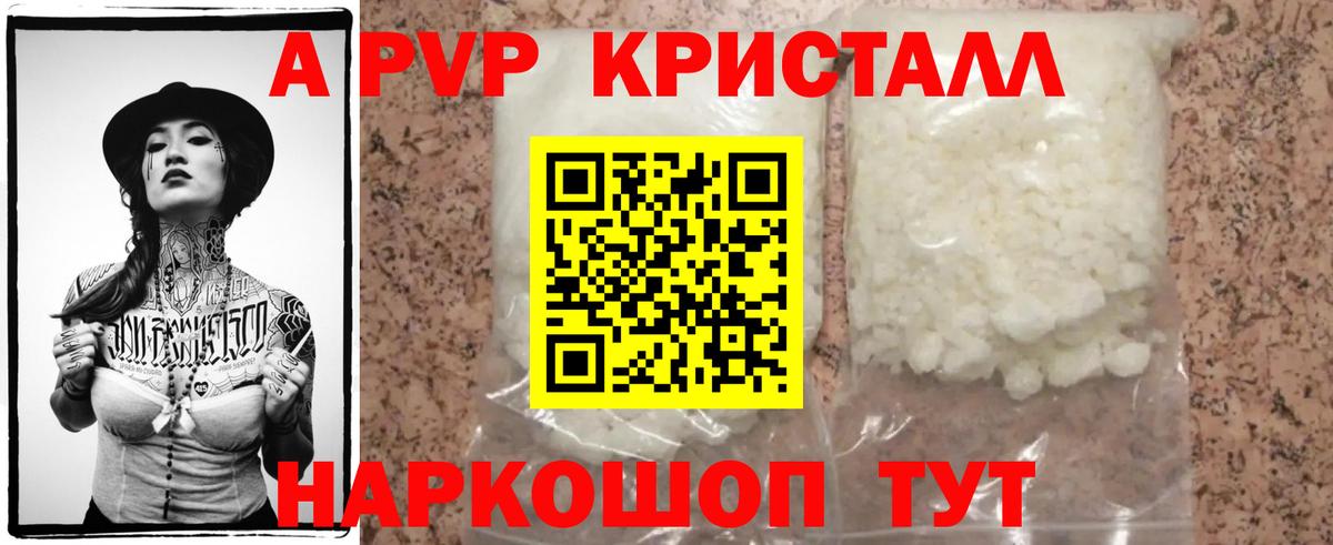 A PVP СК КРИС Асино