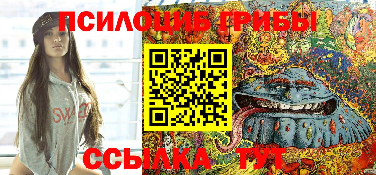Асино  что такое наркотик  Вход с VPN  Галлюциногенные грибы Psilocybe 
